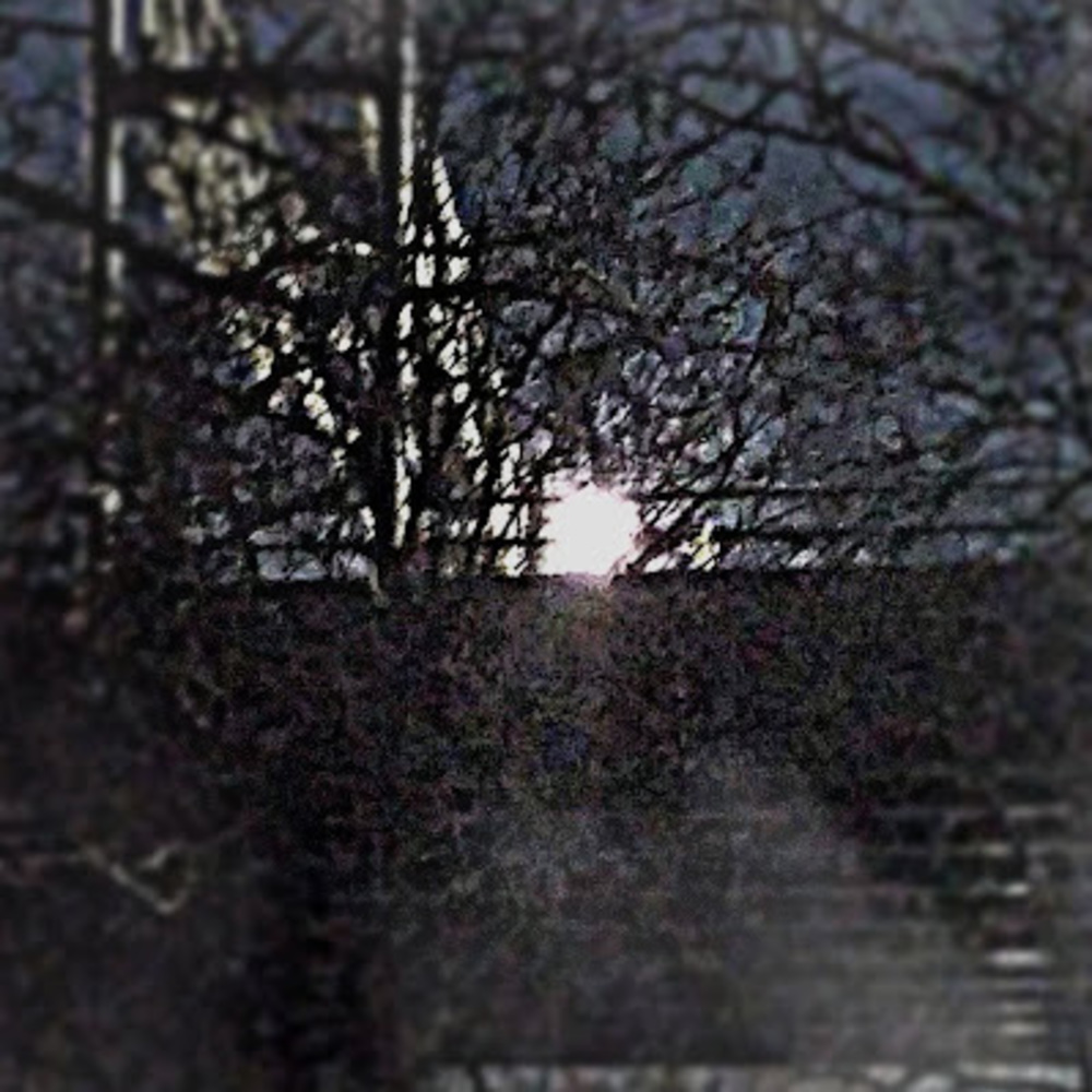 Meet your Posher, Ayrico!